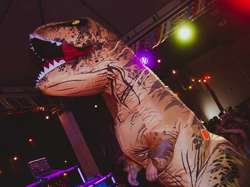 dino-1